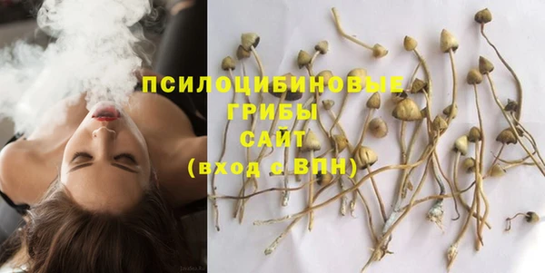 дживик Алексин