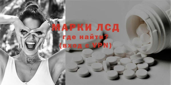 прущий лед Алзамай