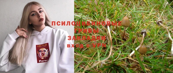 а пвп мука Алексеевка