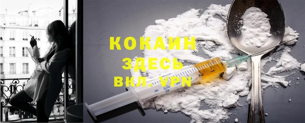 прущий лед Алзамай