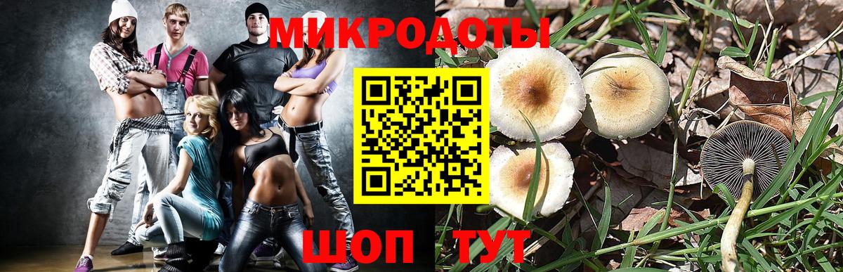 Галлюциногенные грибы ЛСД Кингисепп