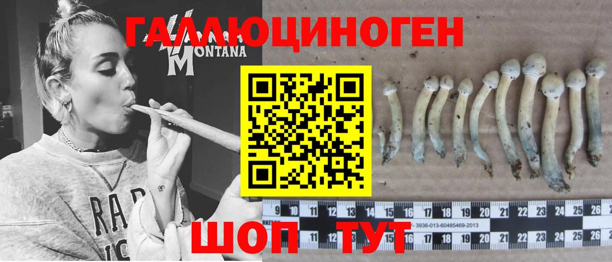 Псилоцибиновые грибы мухоморы  Вход с VPN  Псилоцибиновые грибы прущие грибы  Кингисепп 